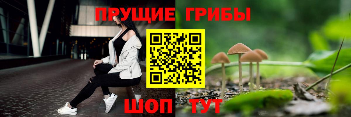 Галлюциногенные грибы MAGIC MUSHROOMS Братск